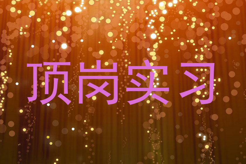 顶岗实习