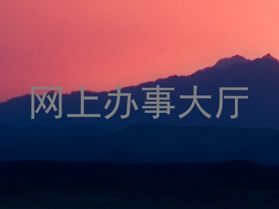 网上办事大厅