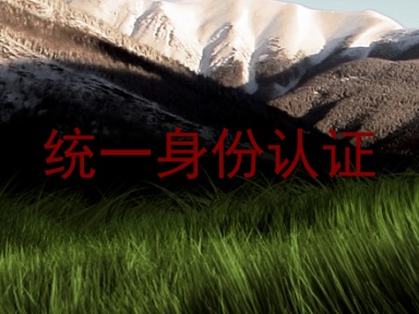统一身份认证