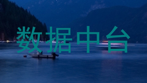数据中台