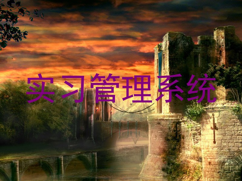 实习管理系统
