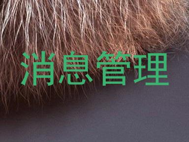 消息管理