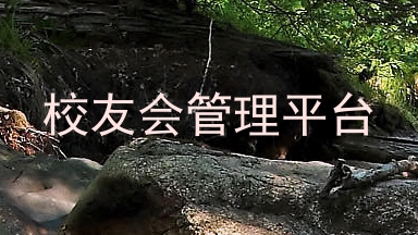 校友会管理平台
