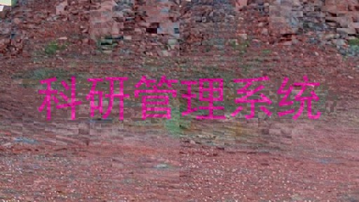 科研管理系统
