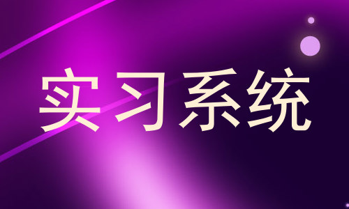 实习系统