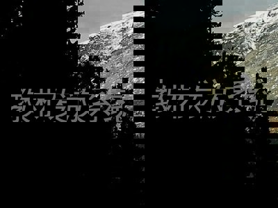 教材发放系统