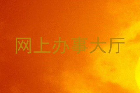 网上办事大厅