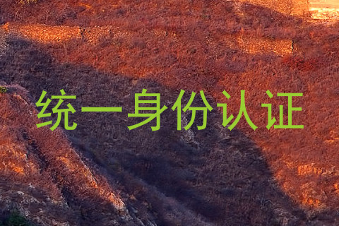 统一身份认证