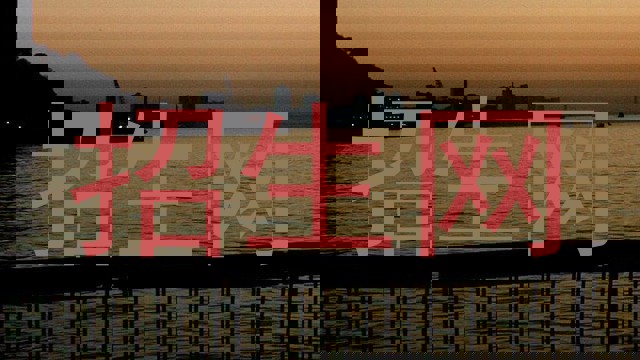 招生网
