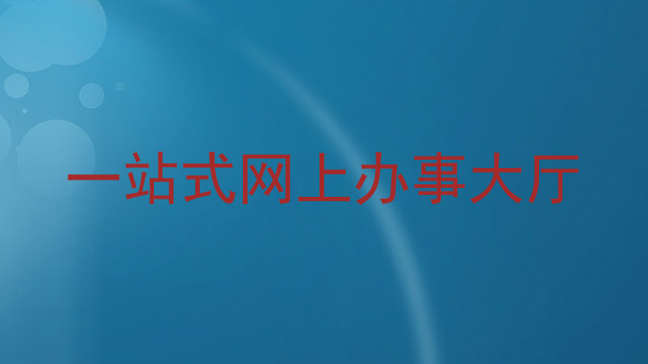 一站式网上办事大厅