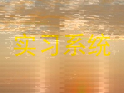 实习系统