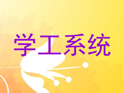 学工系统