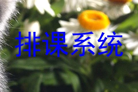 排课系统