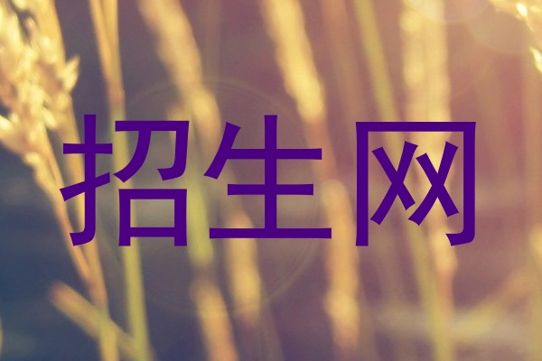 招生网