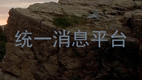 统一消息平台