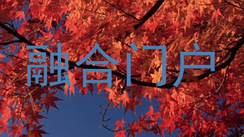 融合门户