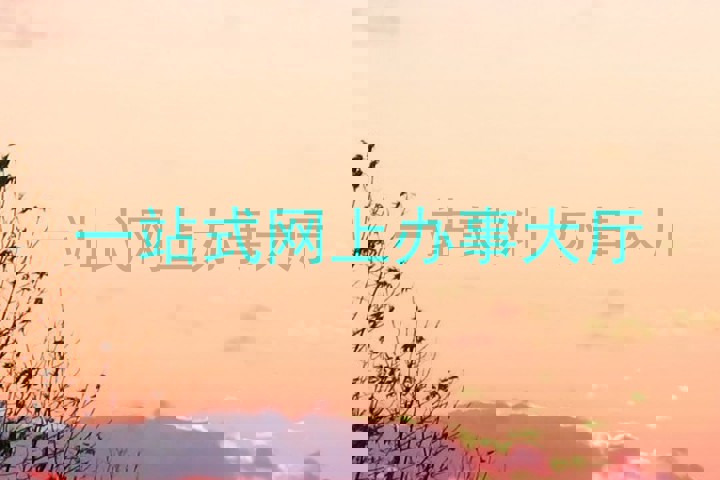 一站式网上办事大厅