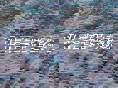 招生管理系统