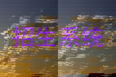 招生系统