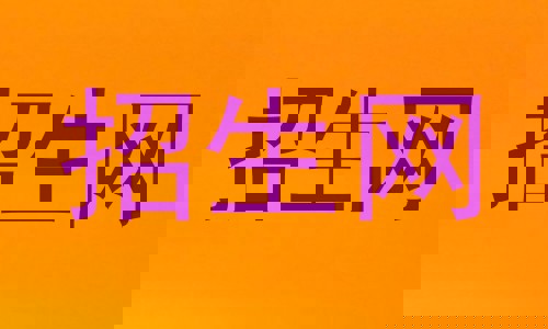 招生网