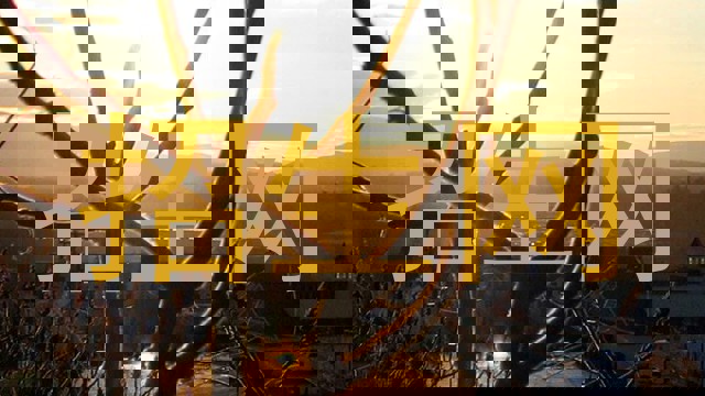 招生网
