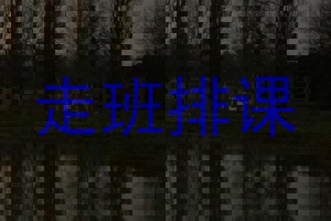 走班排课