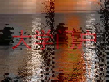 大学门户