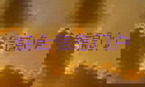 综合信息门户