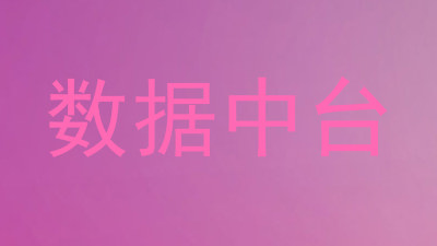 数据中台