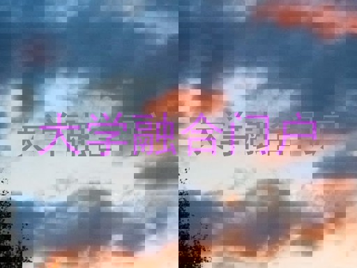 大学融合门户