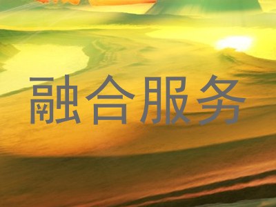 融合服务