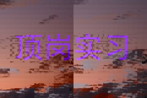 顶岗实习