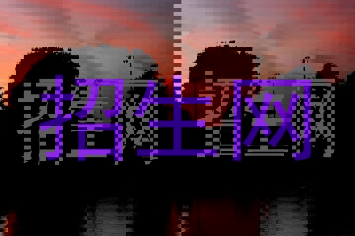 招生网