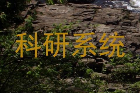 科研系统
