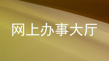 网上办事大厅
