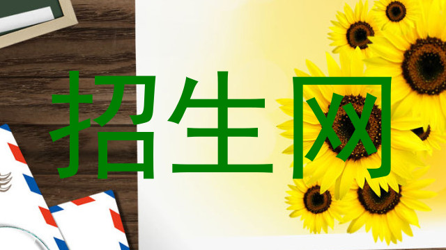 招生网