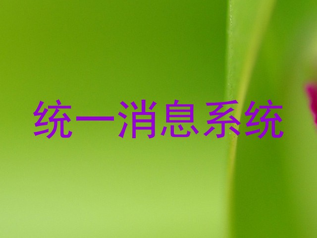 统一消息系统