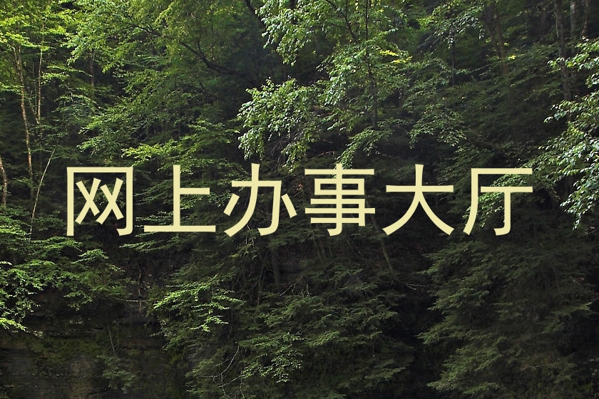 网上办事大厅