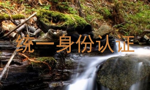 统一身份认证