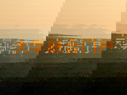 大学融合门户