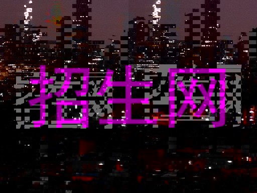 招生网