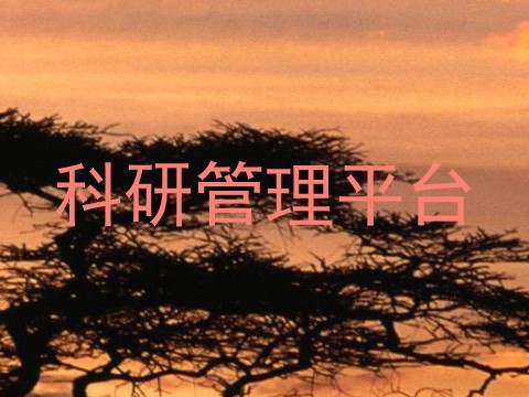 科研管理平台