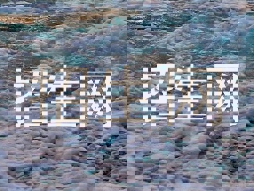 招生网
