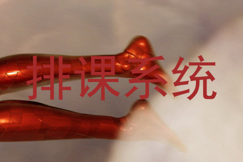 排课系统