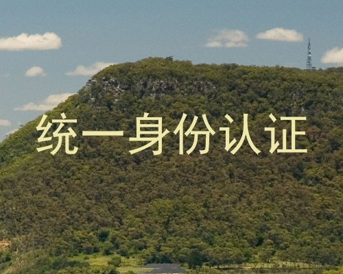 统一身份认证