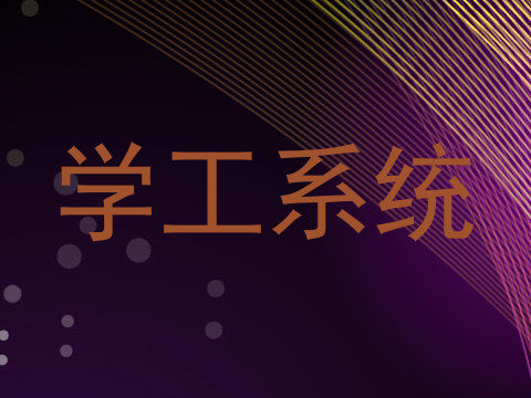 学工系统