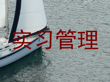 实习管理