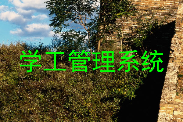 学工管理系统