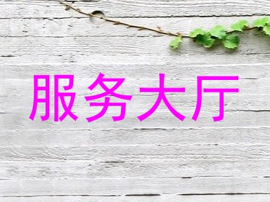 服务大厅