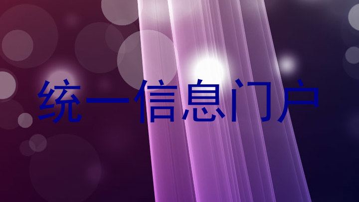 统一信息门户